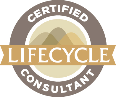 Nonprofit Lifecycles Institute Consultant