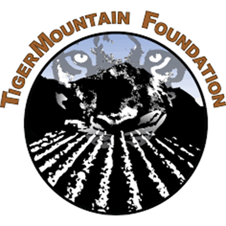 tiger mountain foundation